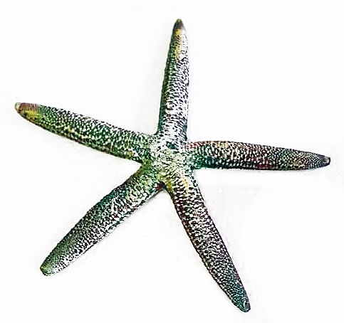 STARFISH