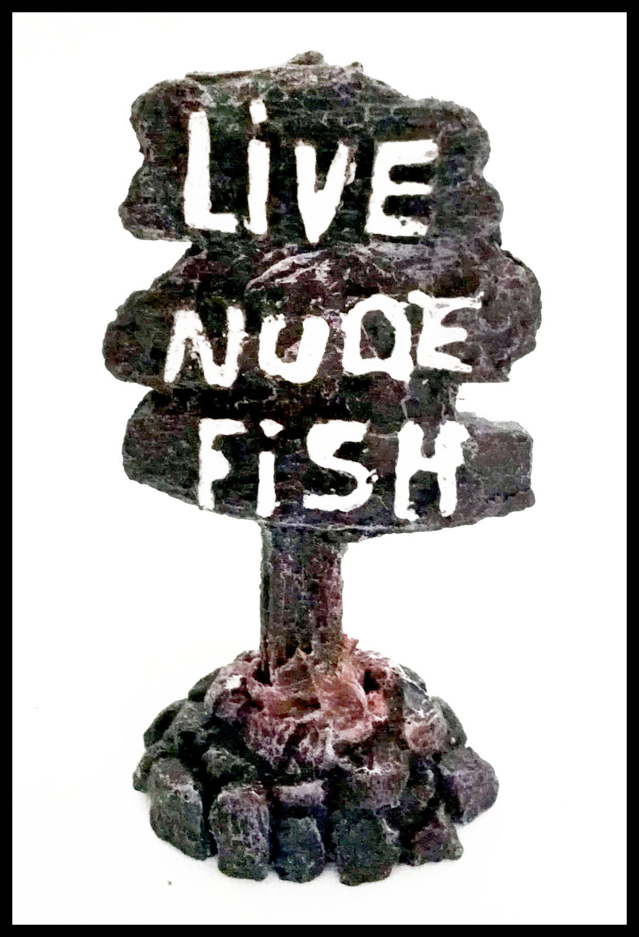 LIVE NUDE FISH