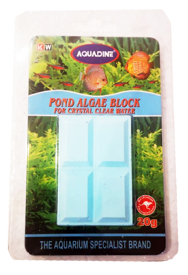 POND ALGAE BLOCKS